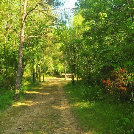 Respira Glamping Alta Garrotxa