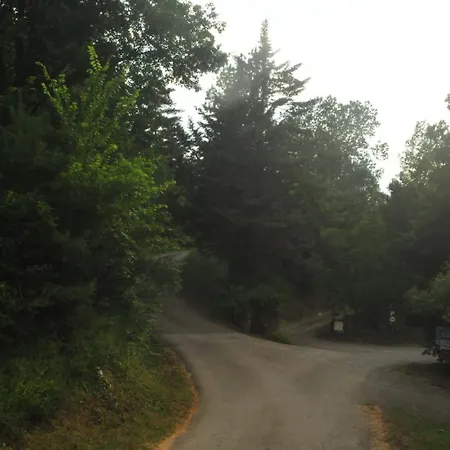 Respira Glamping Alta Garrotxa Montagut