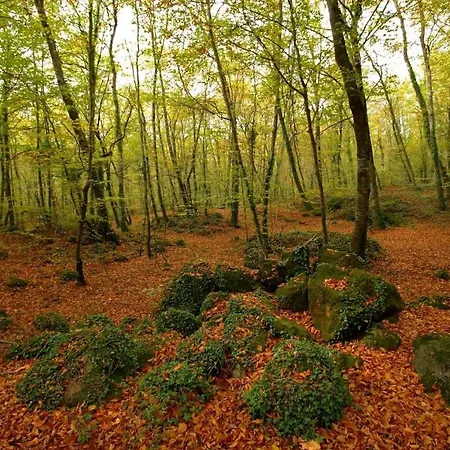 Luksusowy namiot Respira Glamping Alta Garrotxa *